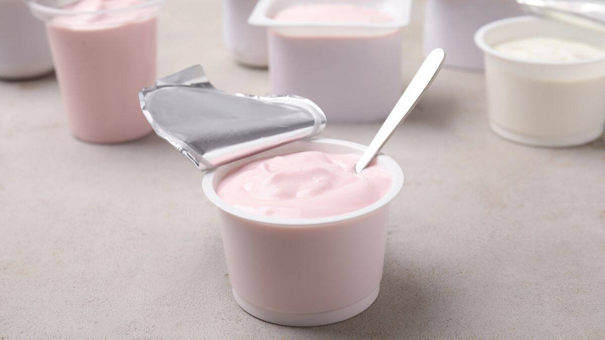 yogurt