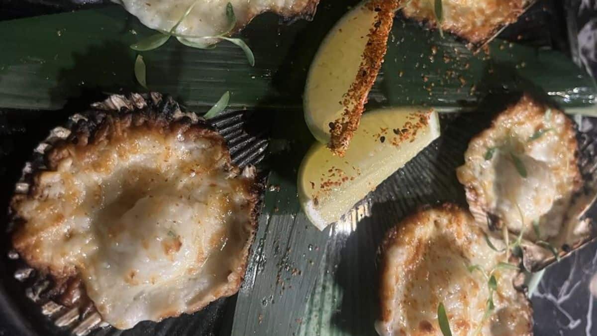 Conchas Chalacas by CVI.CHE 105