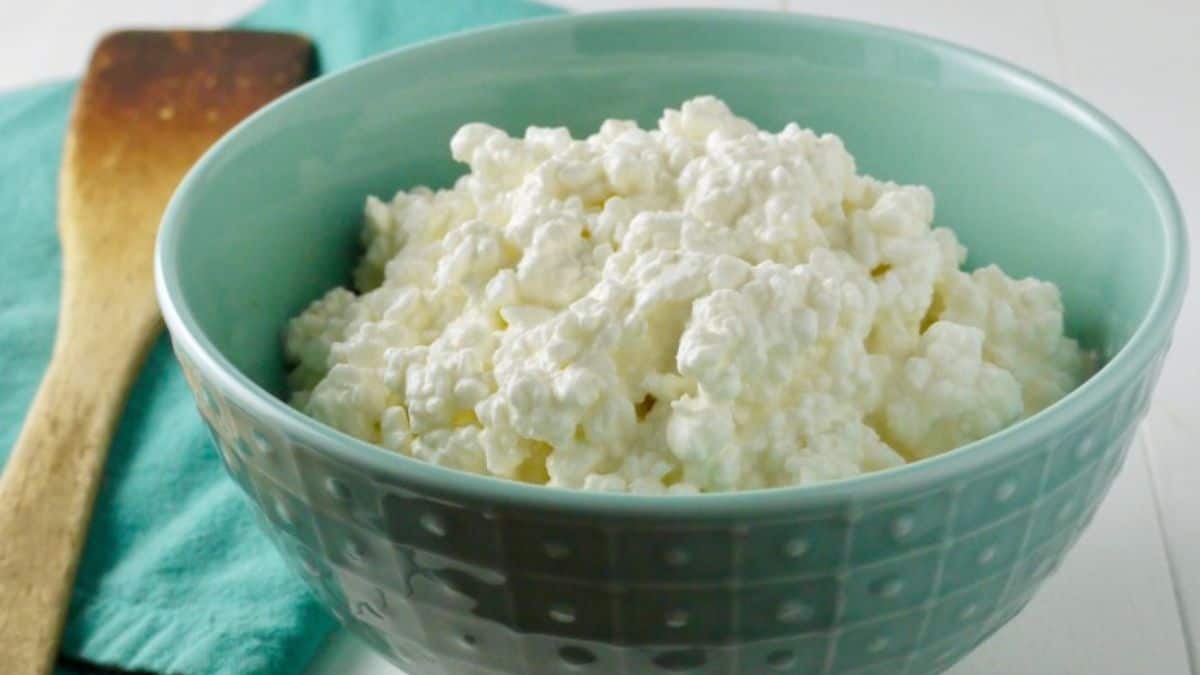 A bowl of homemade raw milk cottage cheese.
