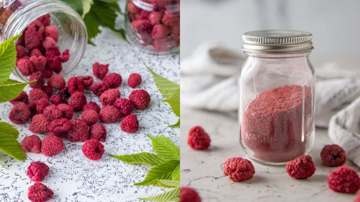 A bunch of dried raspberries, and a powdered raspberry inside a jar.
