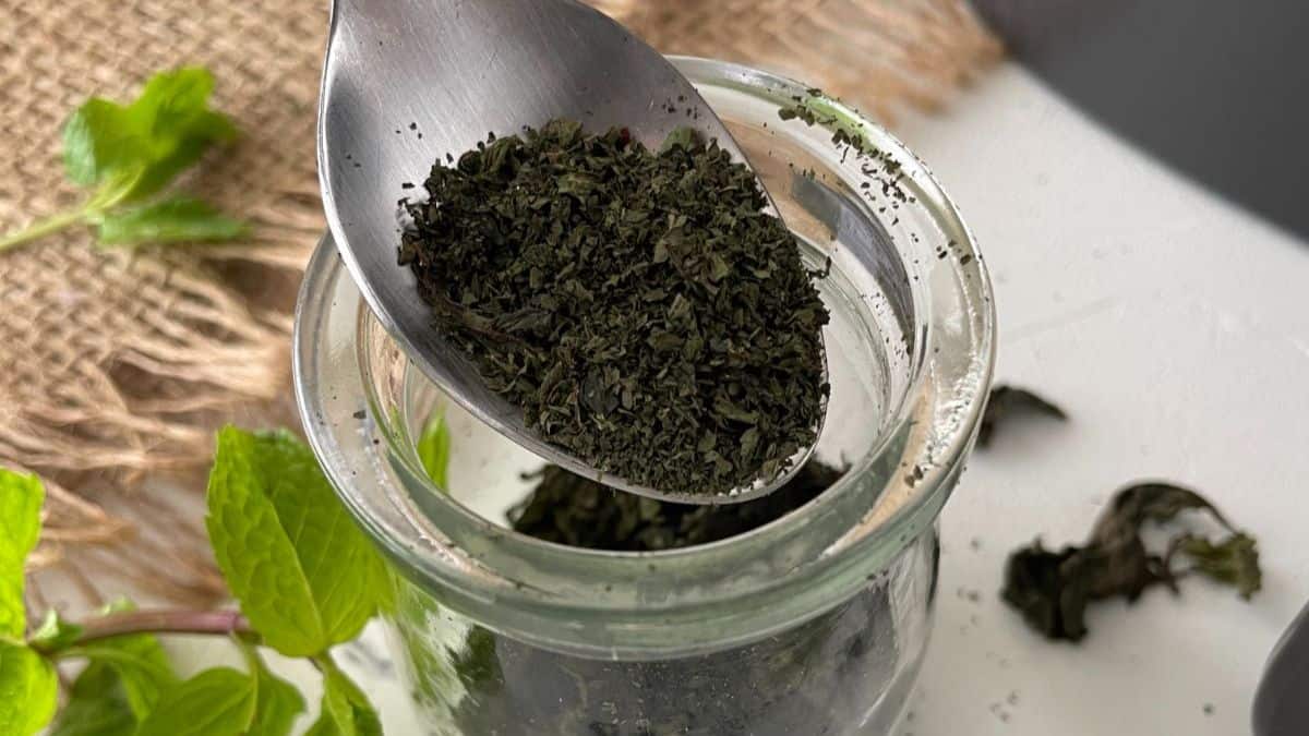 A spoonful of dried mint.