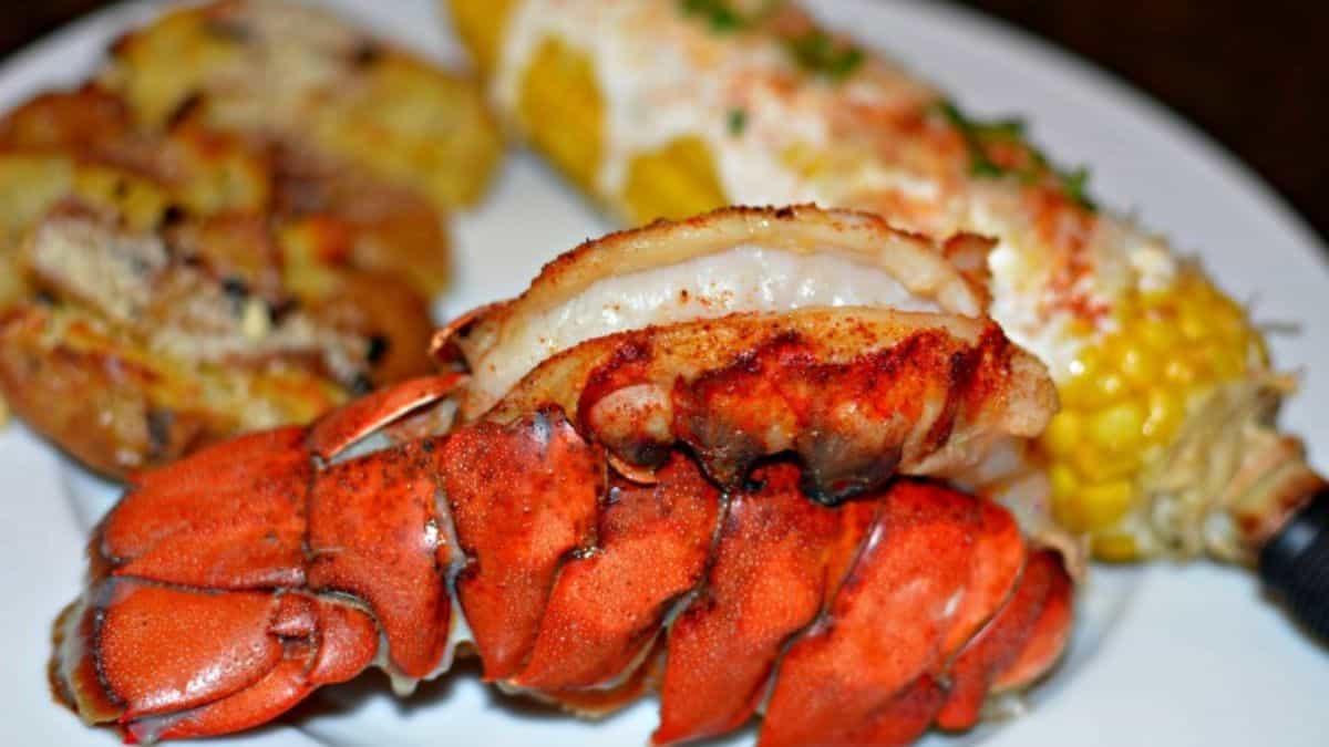 Grilled lobster with corn on the side.