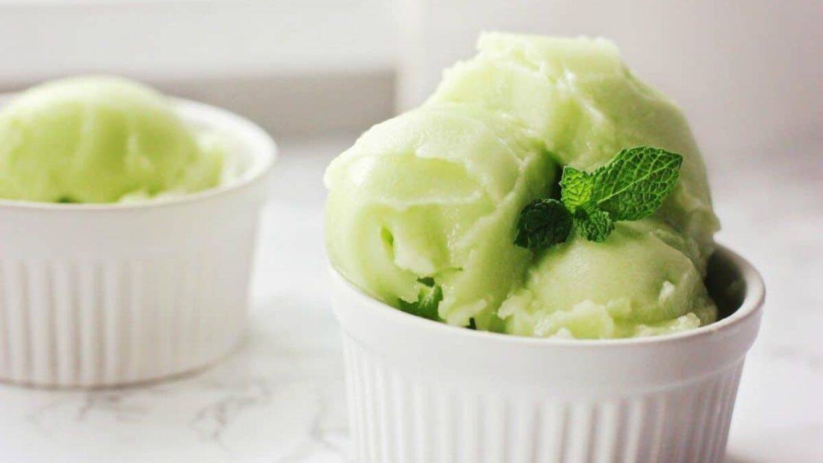 A serving of honeydew sorbet.