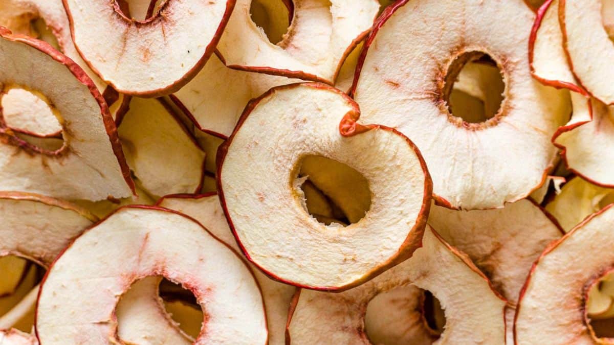 Slices of dried apples.