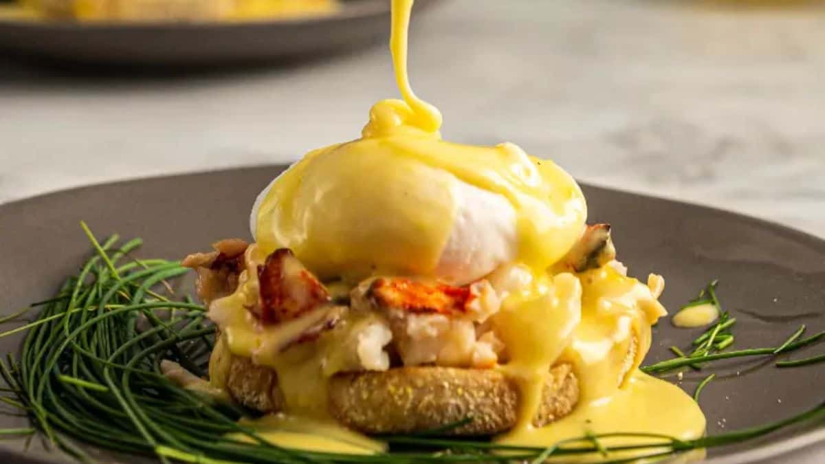 Beautifully plated lobster Benedict.
