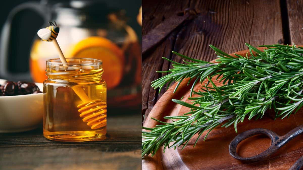 Rosemary Honey Ice Cream