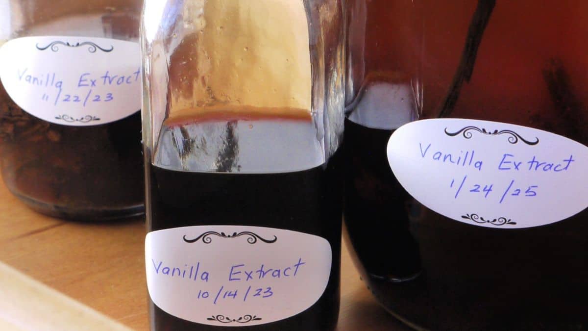 Homemade vanilla extract