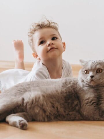 baby and cat