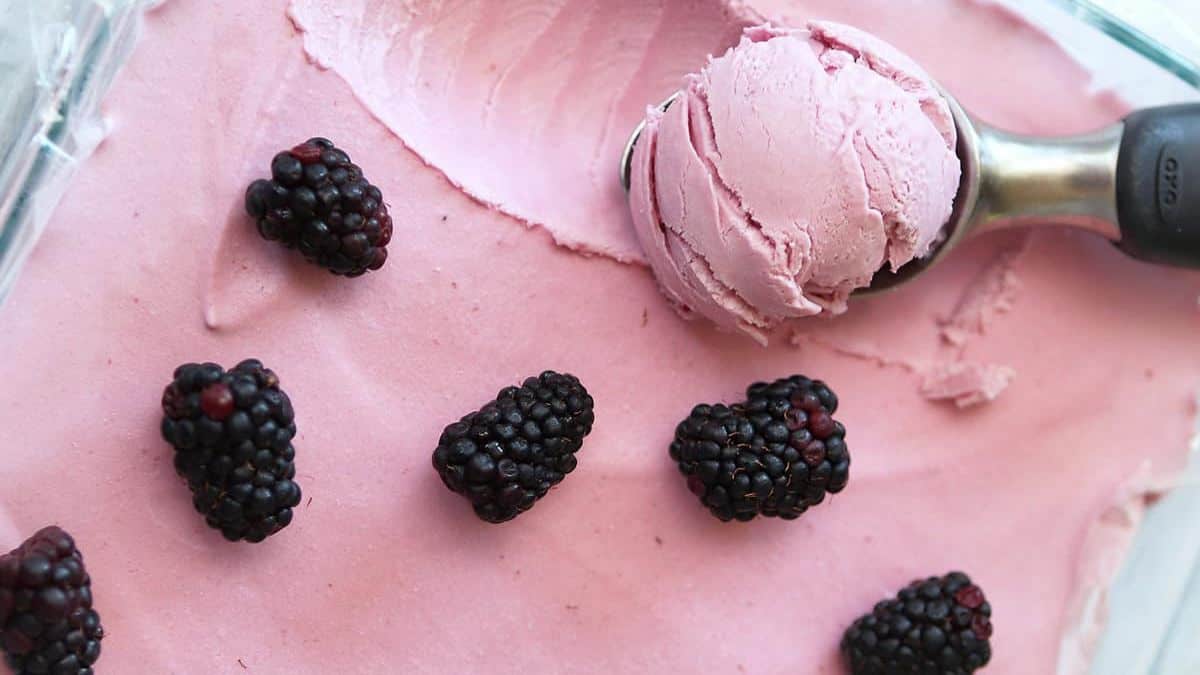 Homemade blackberry ice cream