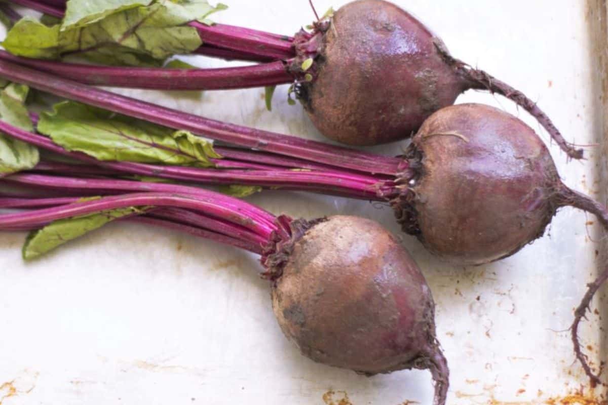 beets