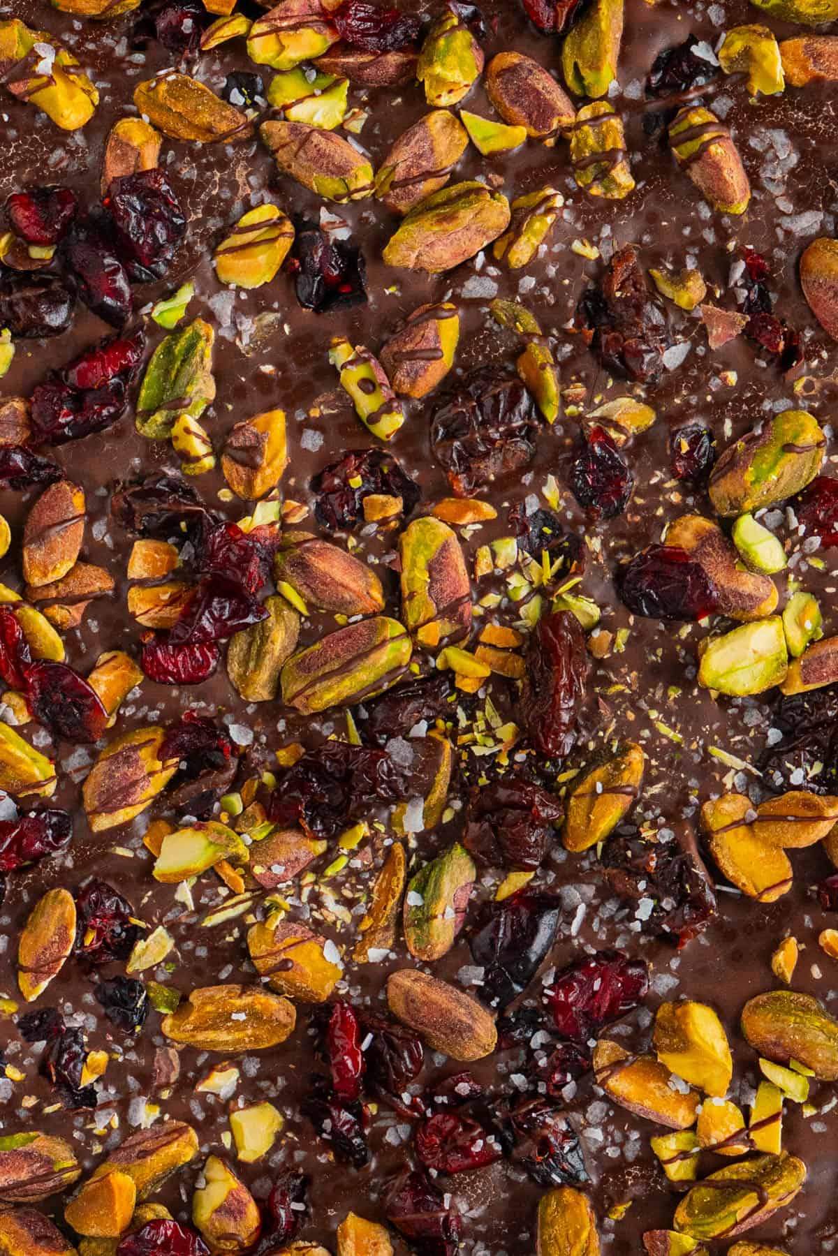 close up shot of Chocolate Pistachio Cranberry Bark