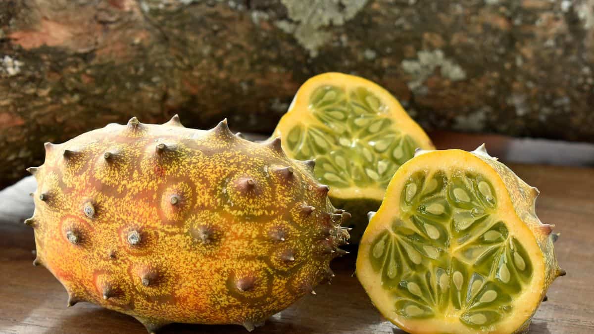 African Horned Melon
