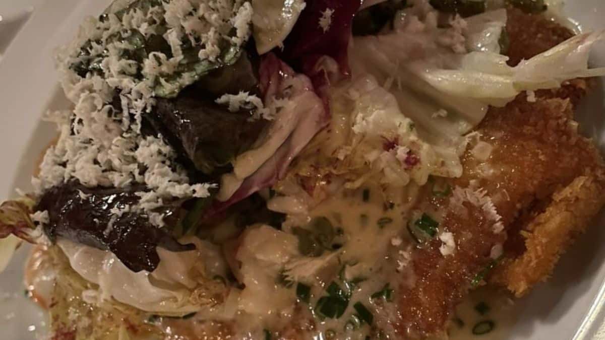 Pork Schnitzel cider vinegar, chicories, rock shrimp, cornichon