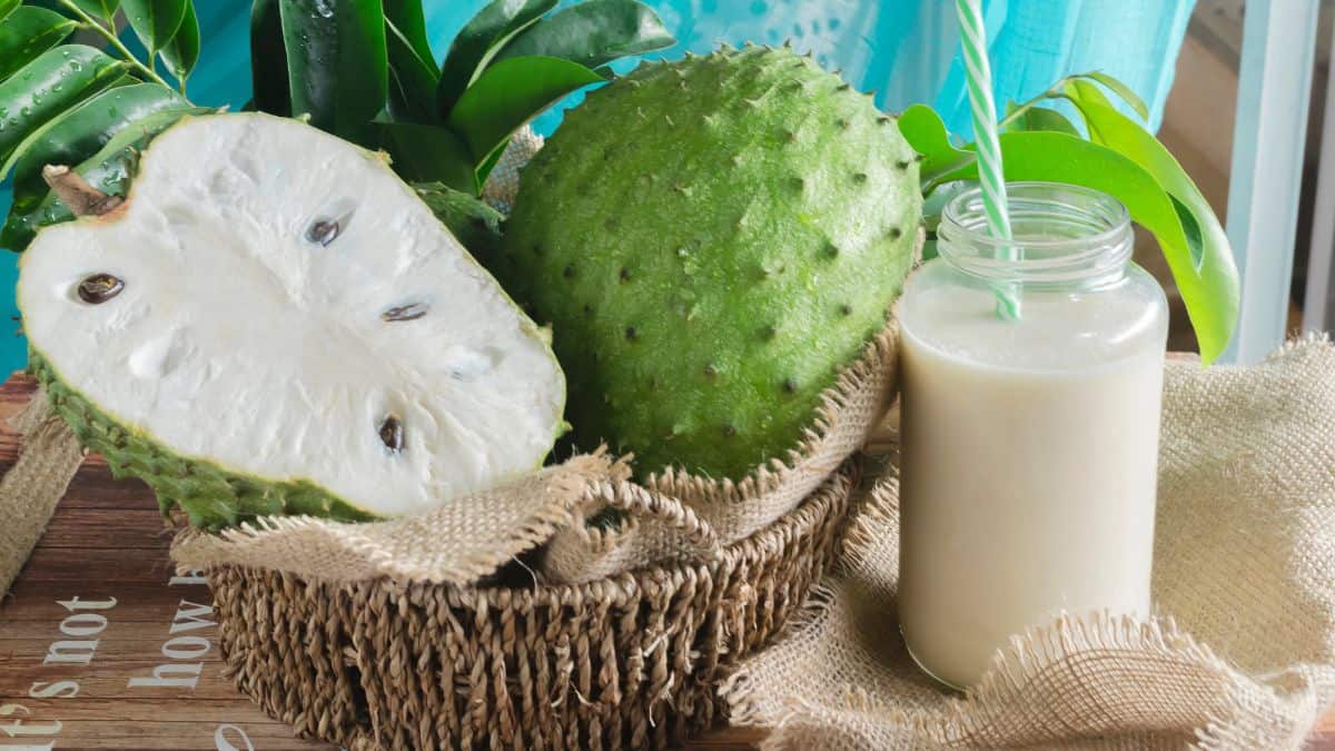 Soursop