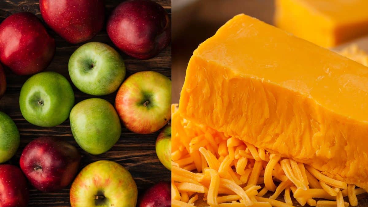 apple cheddar