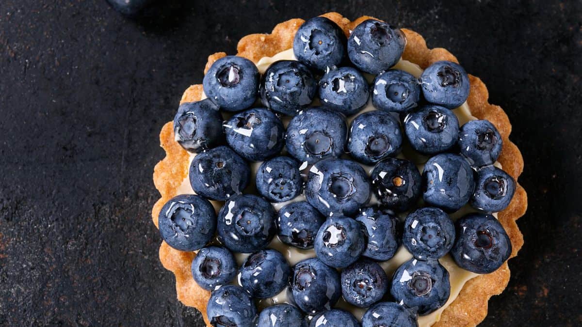 berry tart