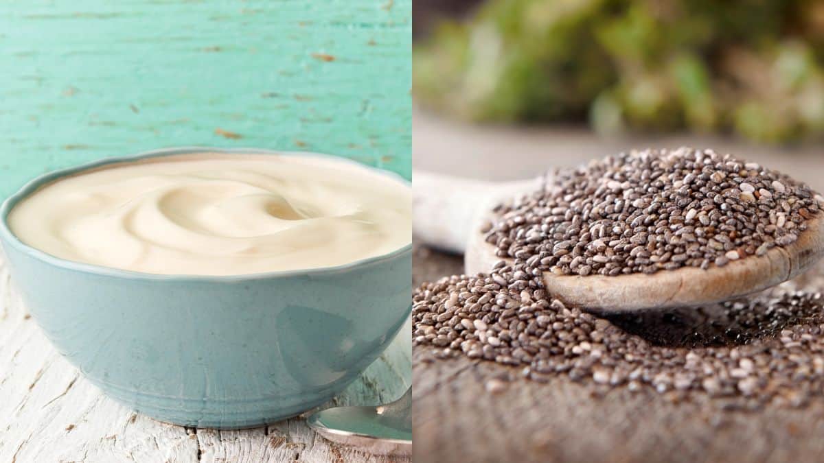 greek yogurt with chia