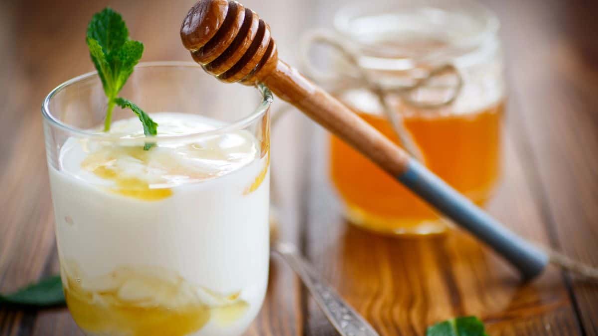 greek yogurt with honey