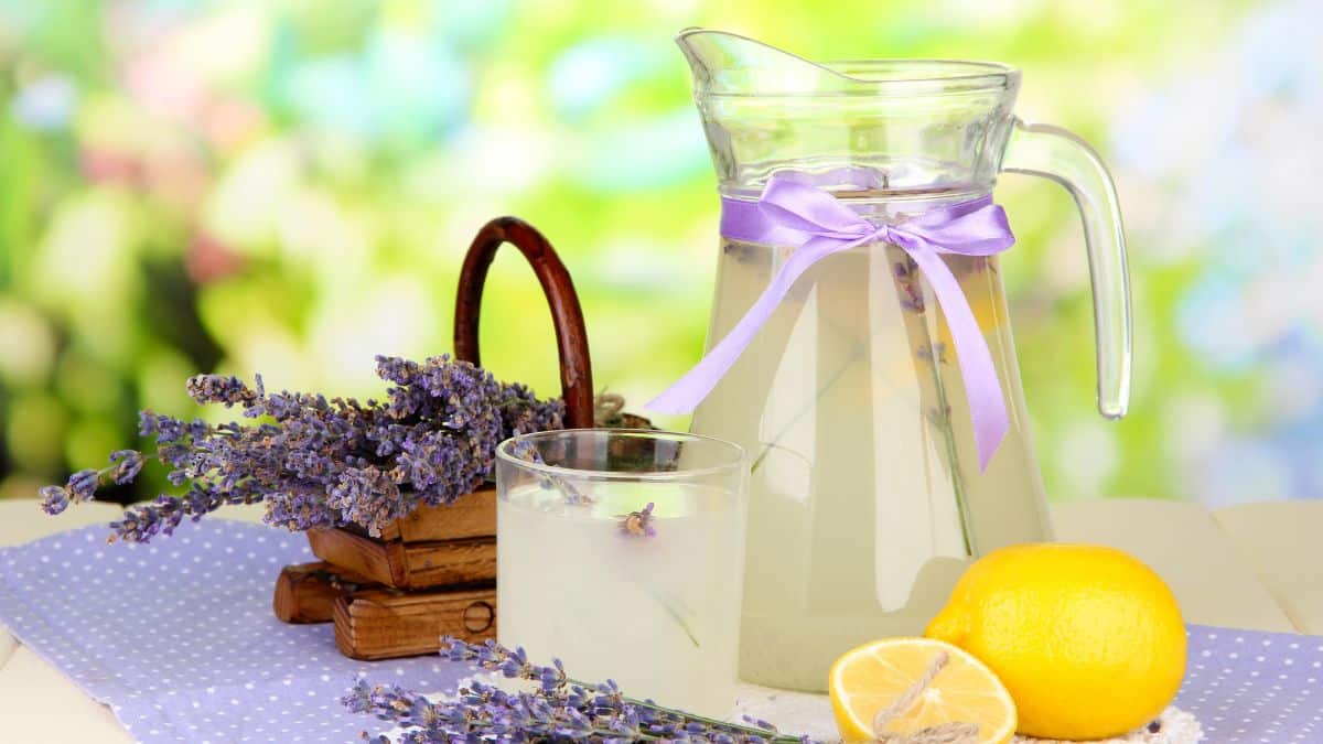 lavender Lemonade
