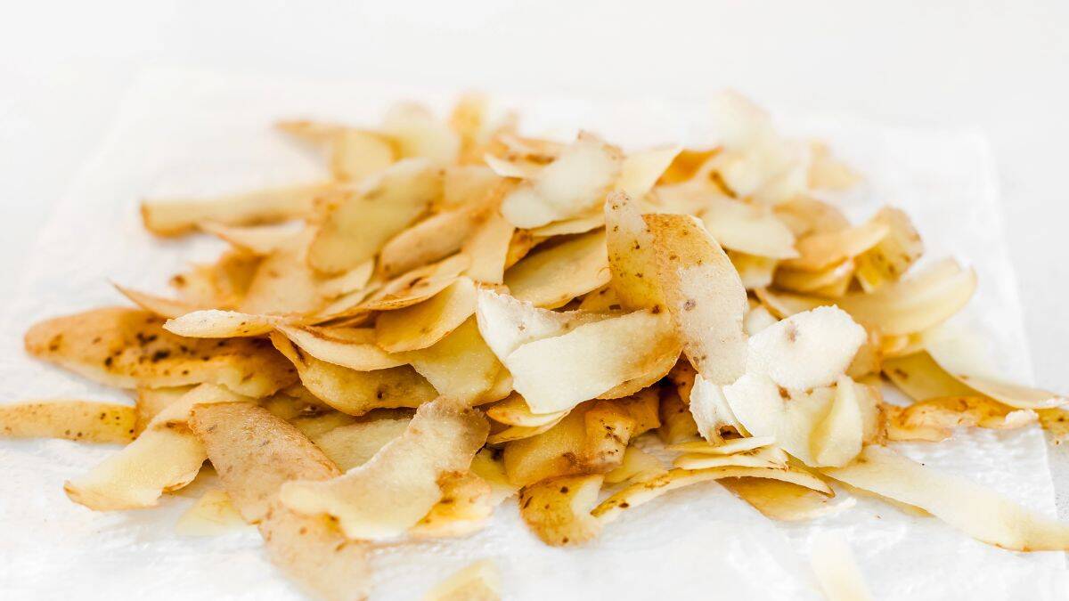 potato skins