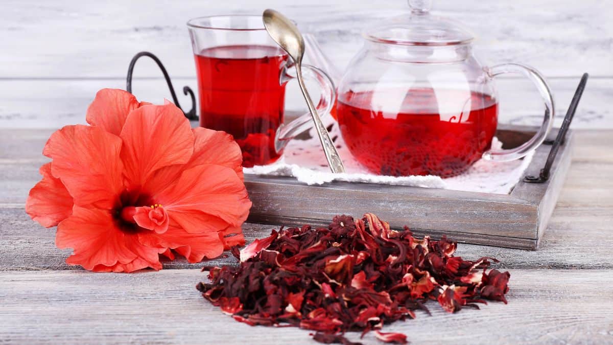 Hibiscus Tea
