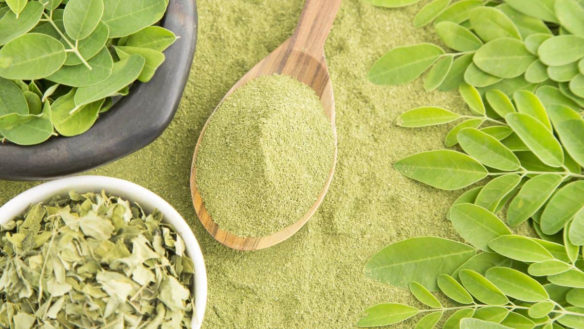 Moringa