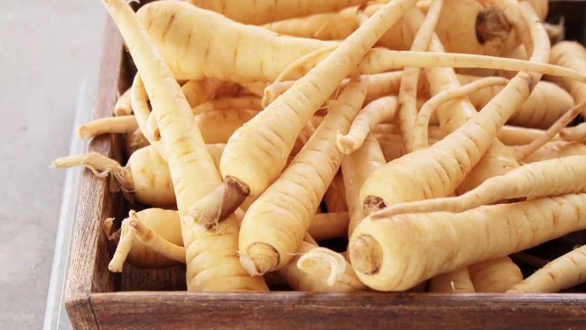 Parsnips