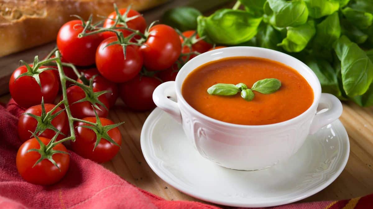 Tomato Basil Soup