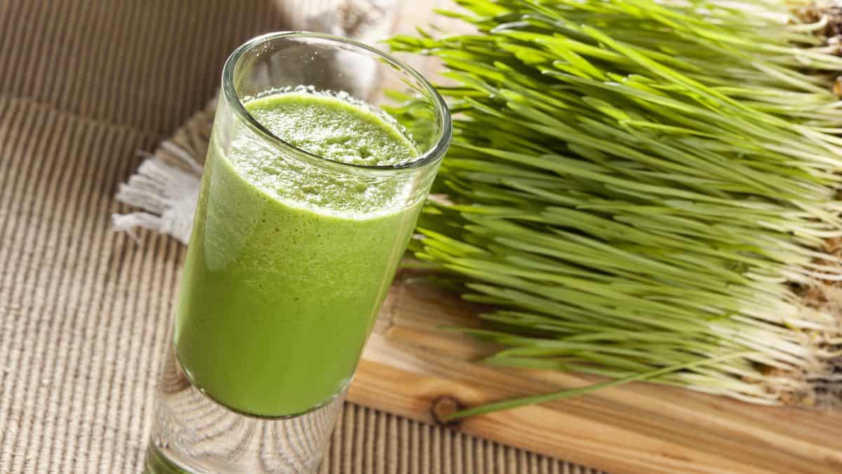Wheatgrass