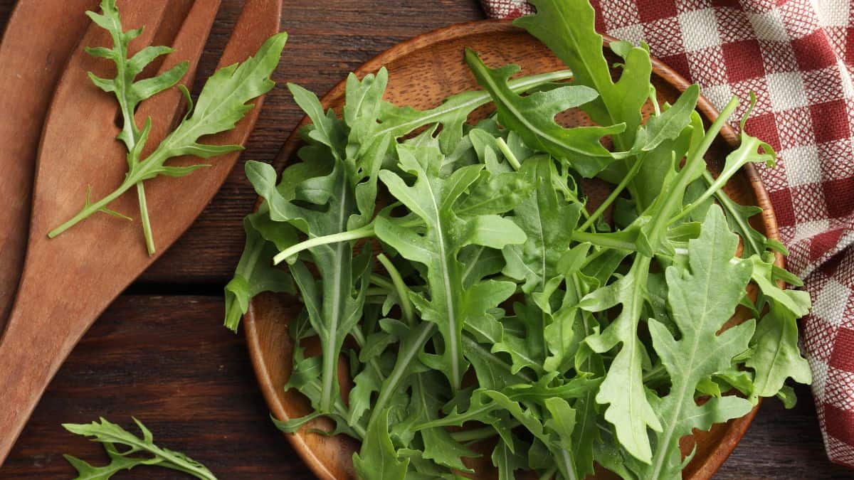 arugula