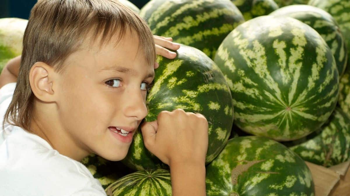 boy tapping on watermelon