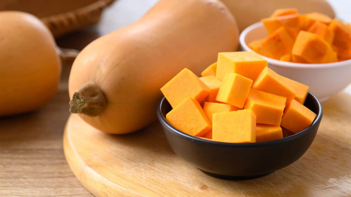 butternut squash