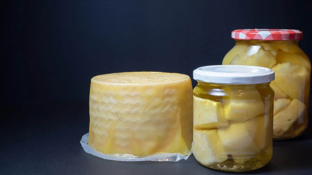 canned cheese