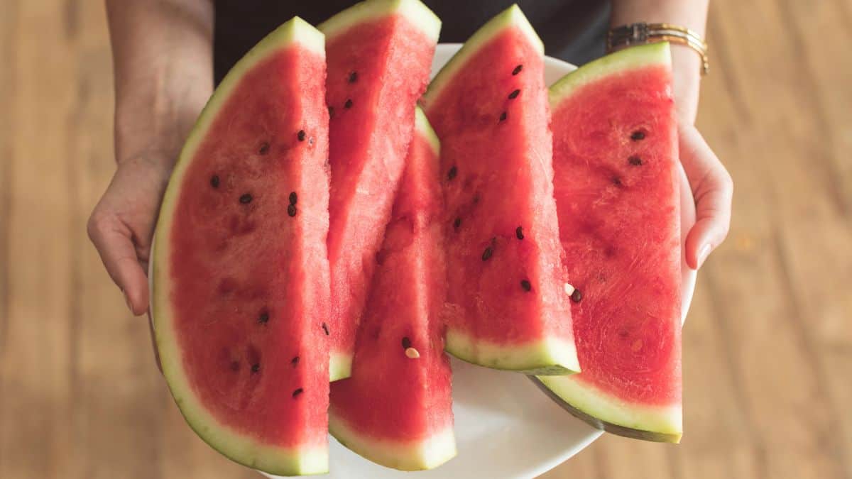 watermelon slices