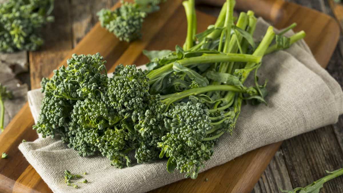 Broccolini