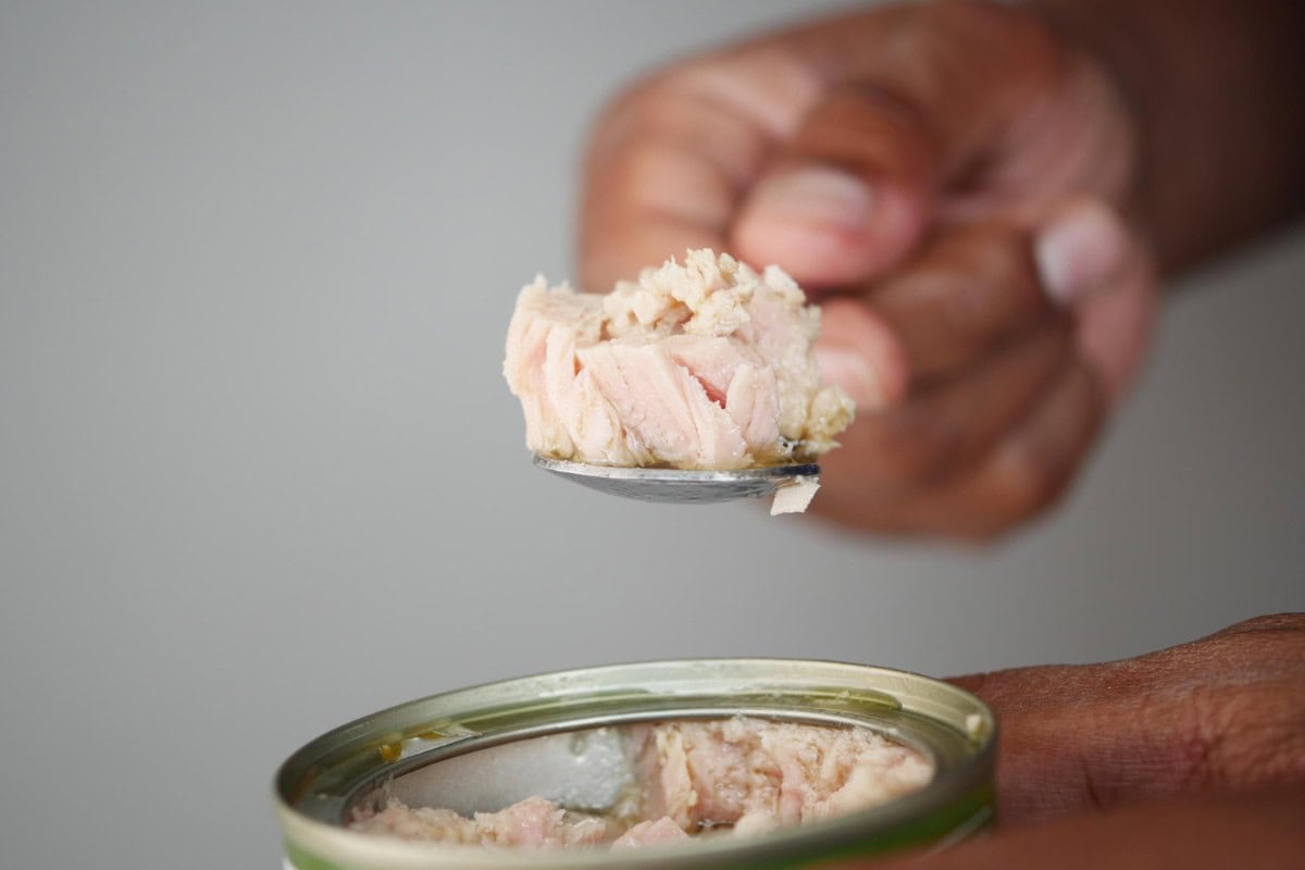 Canned Tuna Surprise