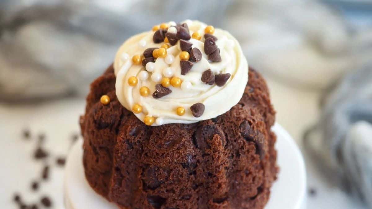 Chocolate Chocolate Chip Nothing Bundt Cake