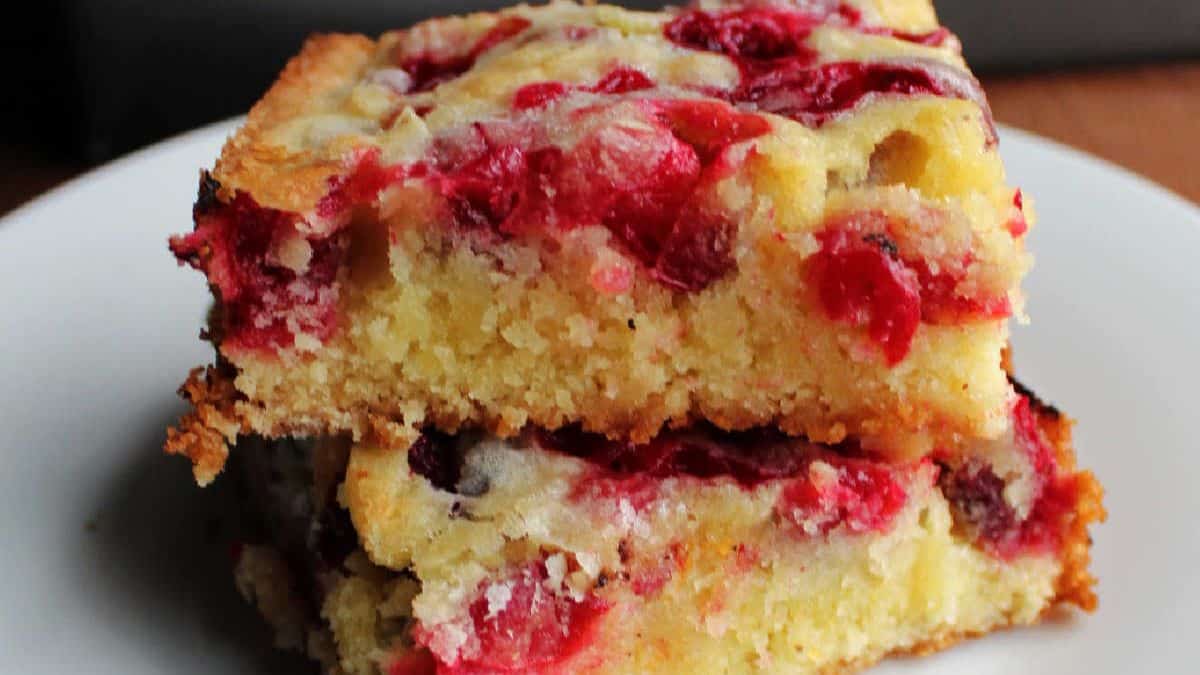 A couple of pieces of Cranberry Snack Cake.