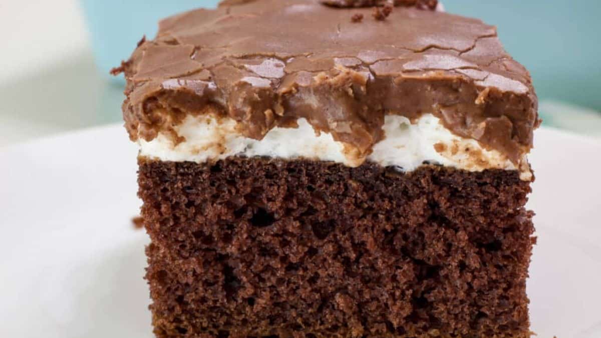 A serving of Mississippi Mud Cake.