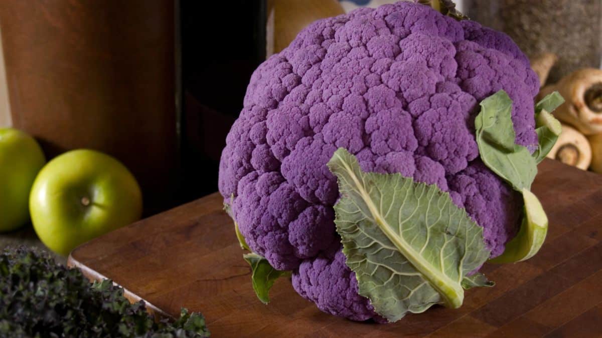 Purple Cauliflower