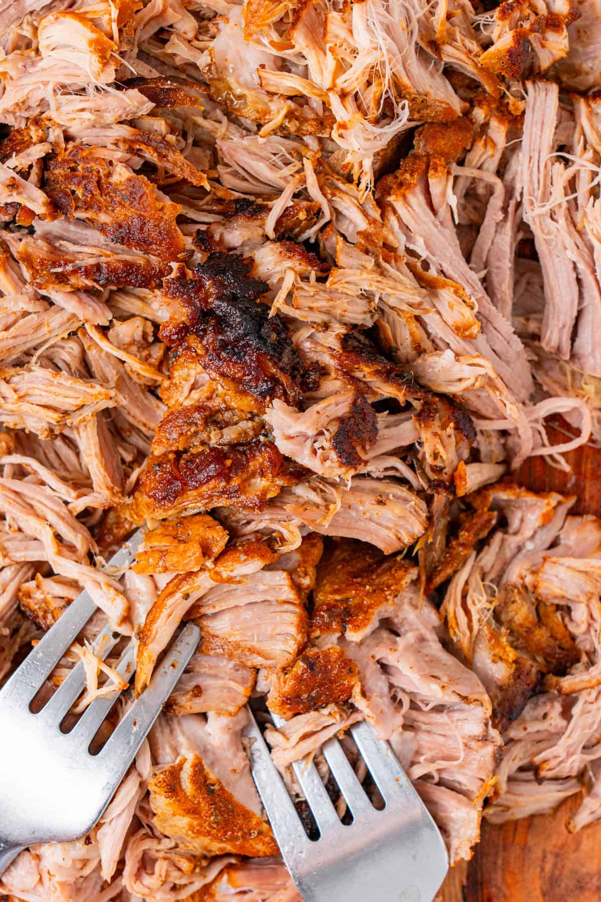 A close up shot of Crockpot BBQ Pulled Pork with fork. 