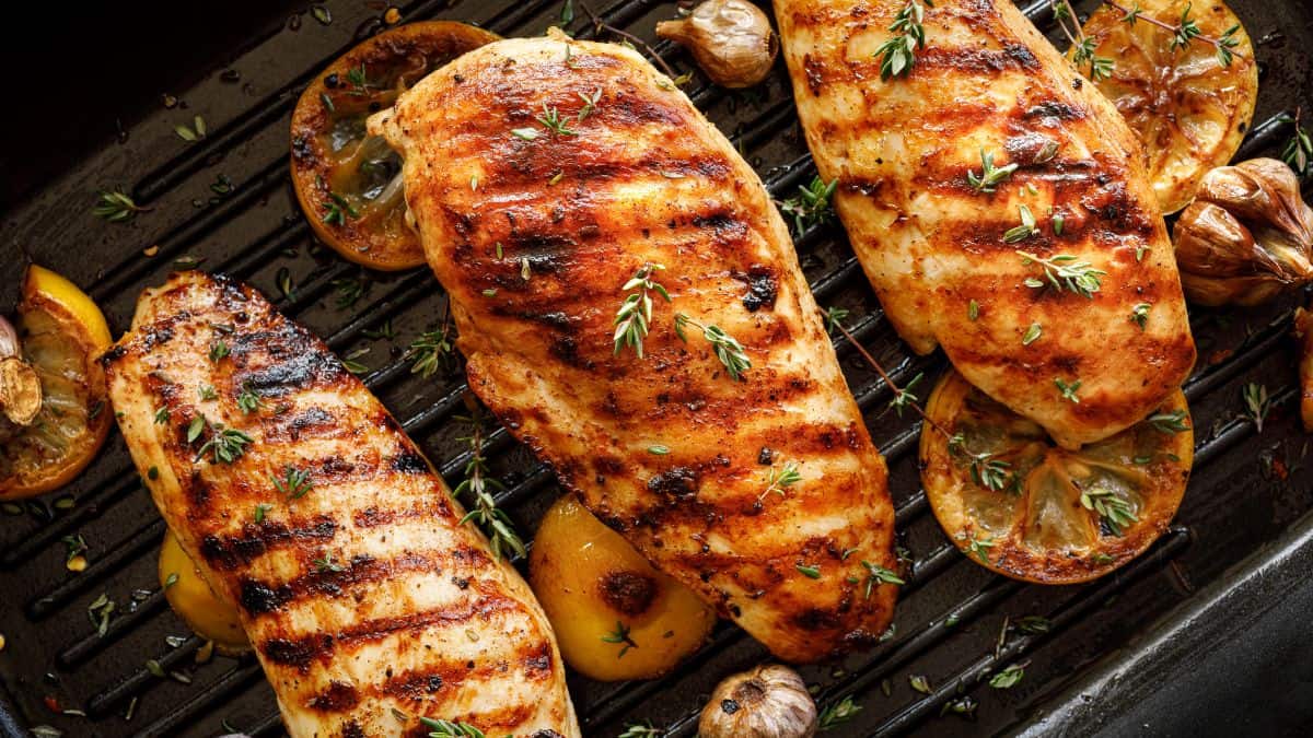 grilled chicken