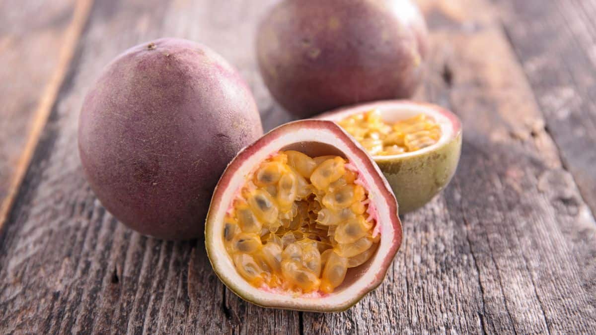 passion fruit