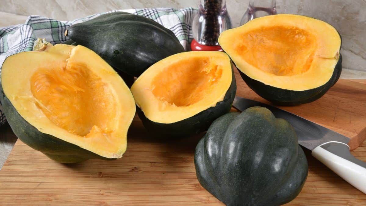 Acorn Squash