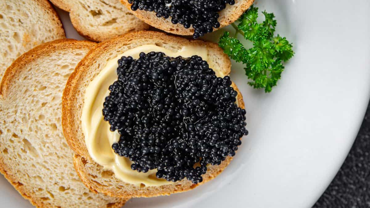 Caviar