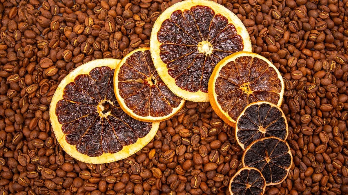 Dried Citrus Slices