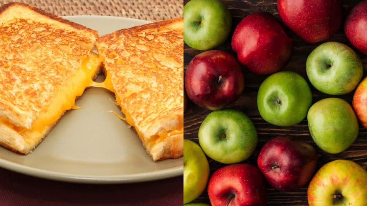 Grilled Cheese and Apple Slices