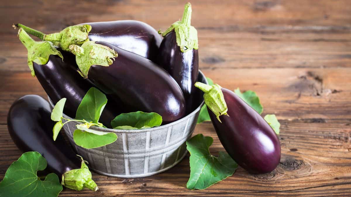 eggplant