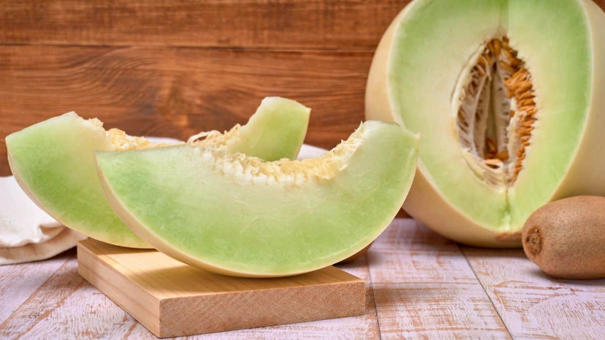 honeydew melon