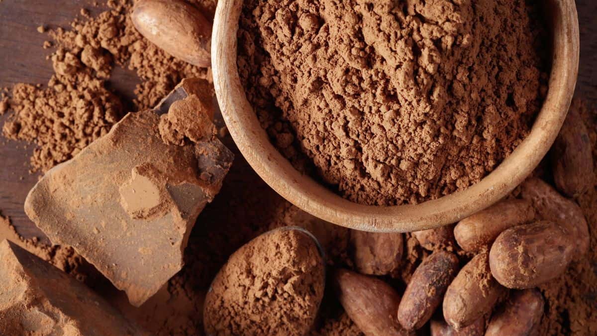 Cocoa Powder